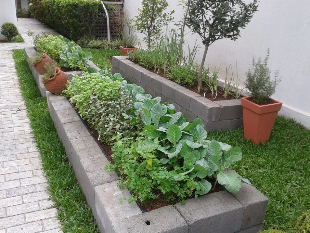 Horta no quintal