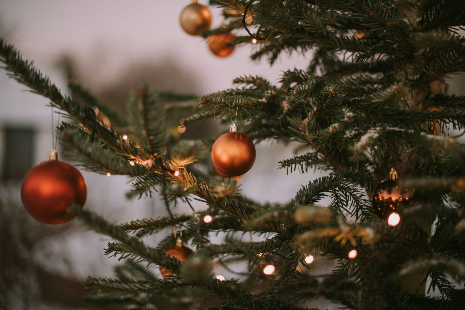 Tudo que você precisa saber sobre árvore de natal